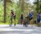 HOVE TRI 2023: Her kan du bla i et et stort bildegalleri fra mosjonistdelen (kort løype/sprint fra Hove Tri 2023. Foto: Esben Holm Eskelund